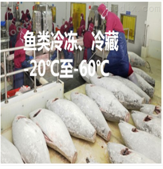 鱼类冷冻冷藏 制冷机(图1)