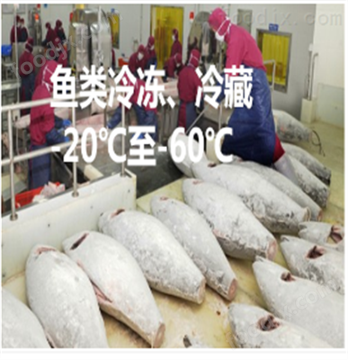 鱼类冷冻冷藏 制冷机(图2)