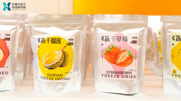 芯食代家用冻干机XSD新品亮相智能化升级成未来焦点(图4) 芯食代家用冻干机XSD新品亮相智能化升级成未来焦点(图4)