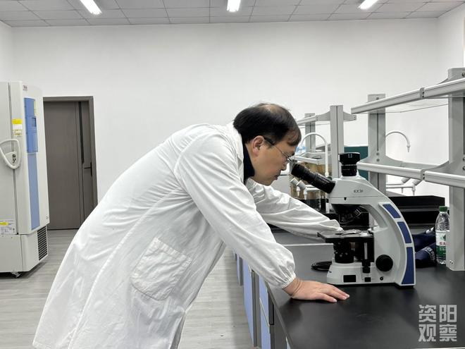 四川省肉牛牧草现代种业育种创新基地从实验室到牧场的育种突破(图1) 四川省肉牛牧草现代种业育种创新基地从实验室到牧场的育种突破(图1)